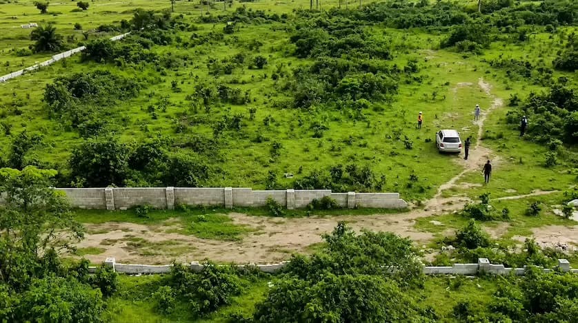 Aerial view of a grassy lot